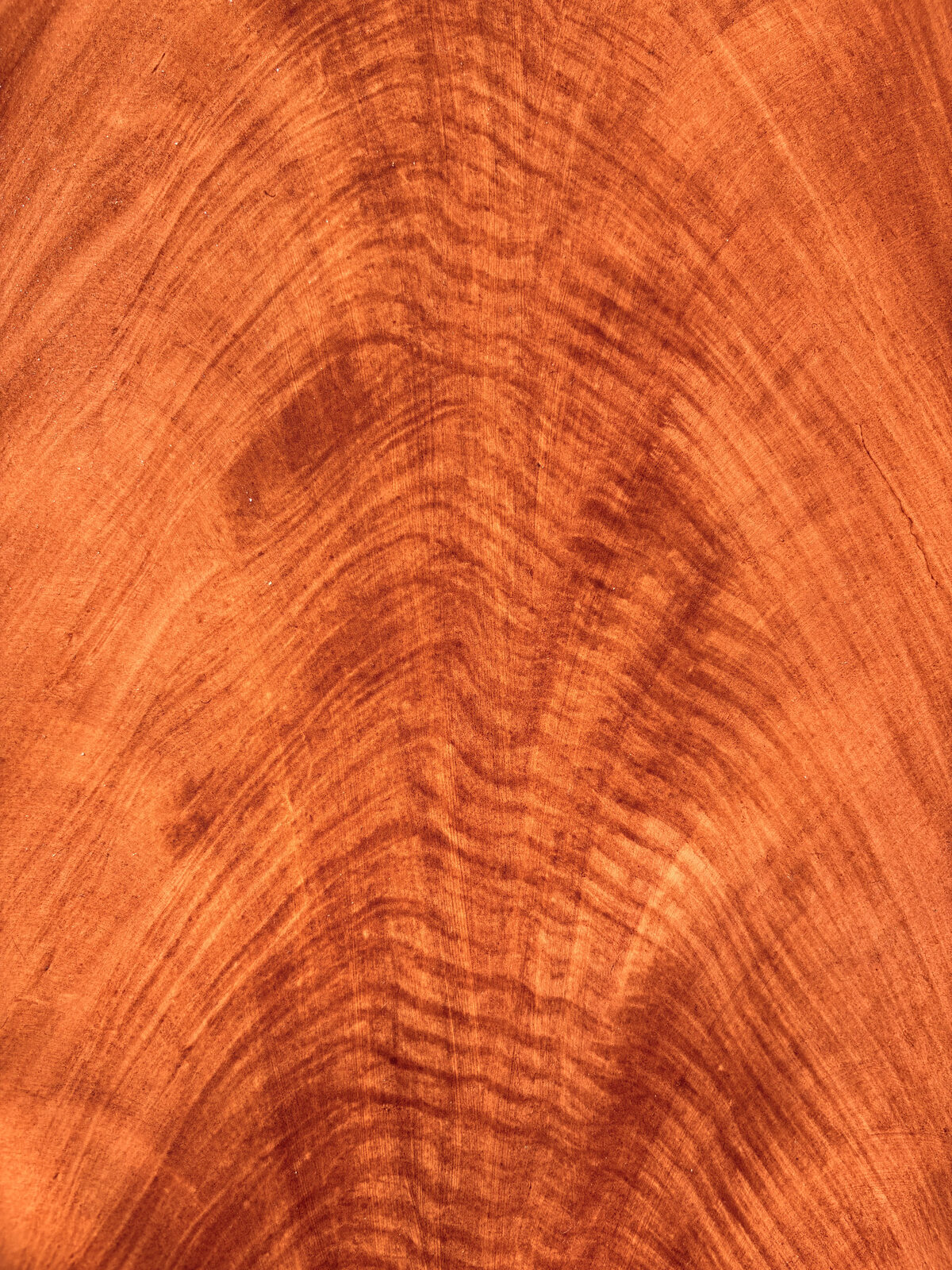 Acajou Flammé — vue de détail