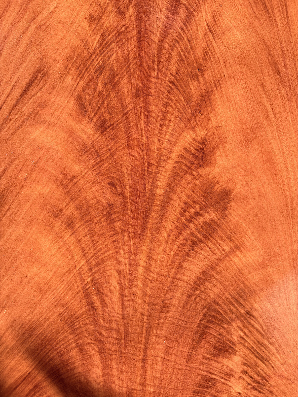 Acajou Flammé — autre vue