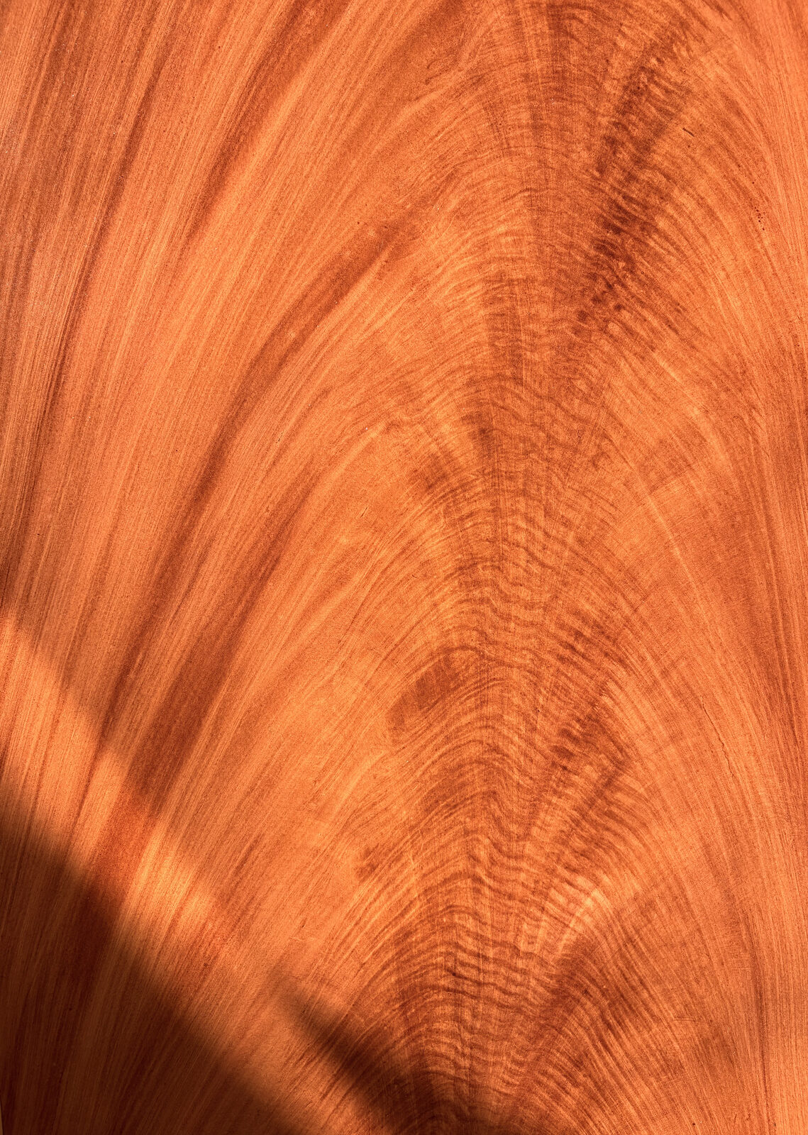 Acajou Flammé — autre vue
