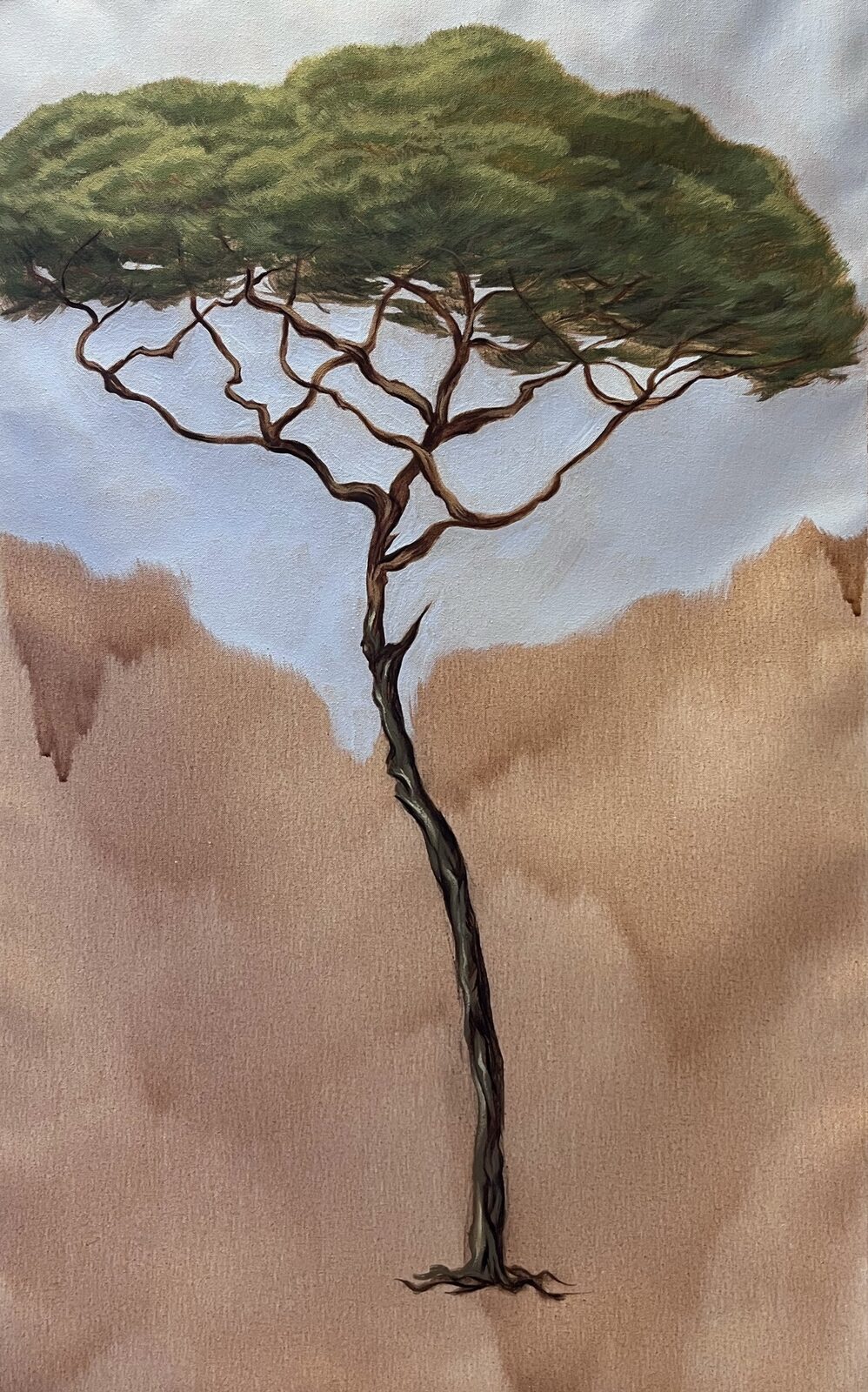 Arbre — pin parasol peint